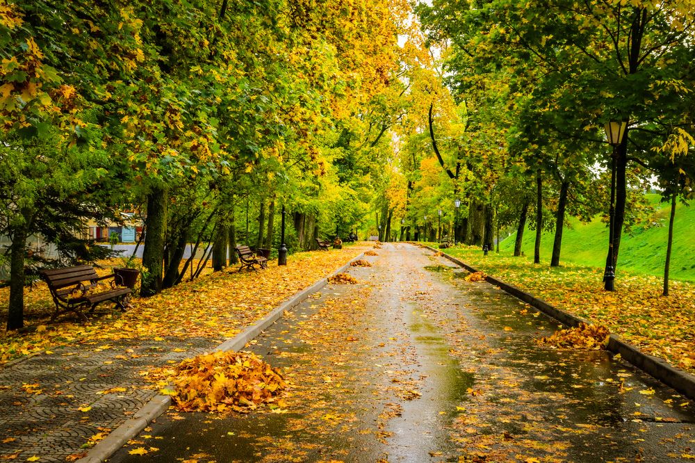 Золотая осень в Несвижском парке.