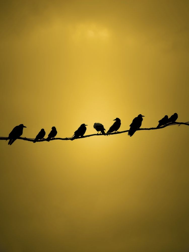 Photograph by Konstantin Martynov