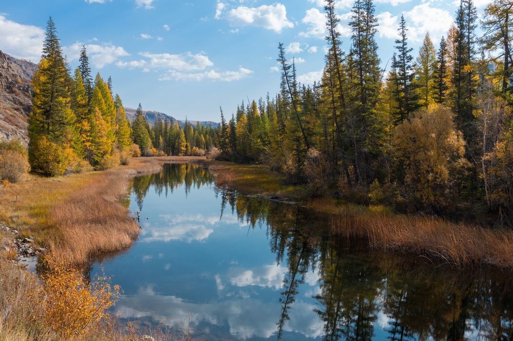 Photograph by Сергей