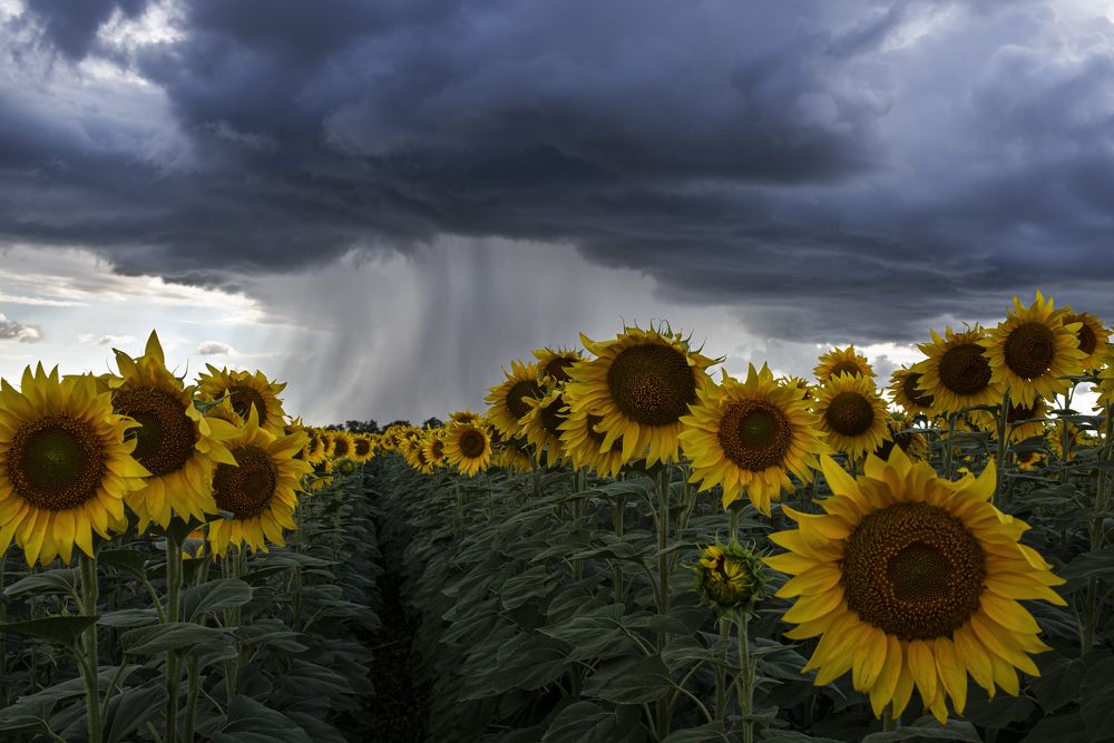 Photograph by Татьяна Казьмина