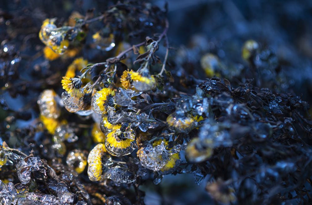 Photograph by Татьяна Казьмина