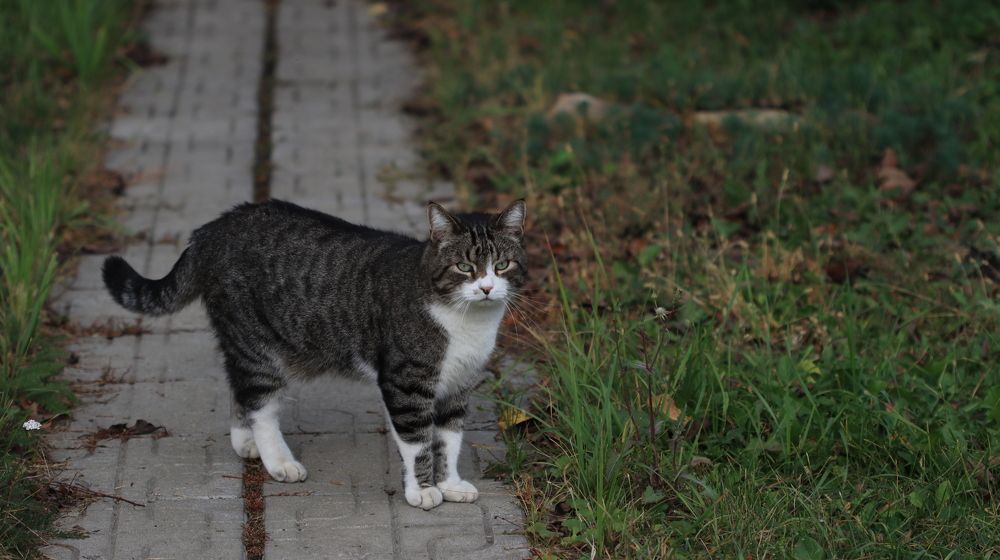 Photograph by Семён Федоров