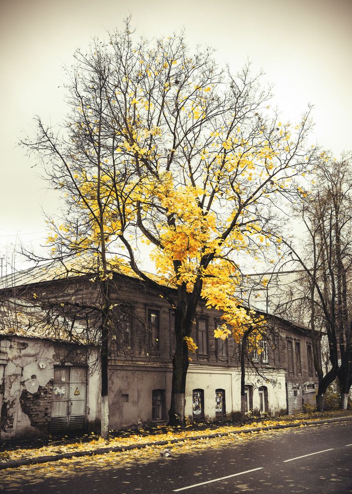 Photograph by Белевитин Михаил