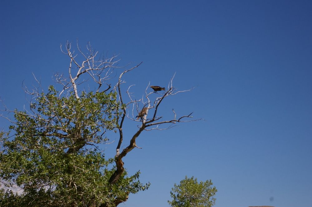 Photograph by Елена Алешкевич