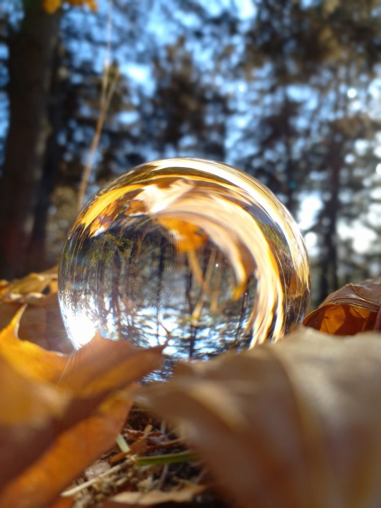 Photograph by Ольга Шевцова