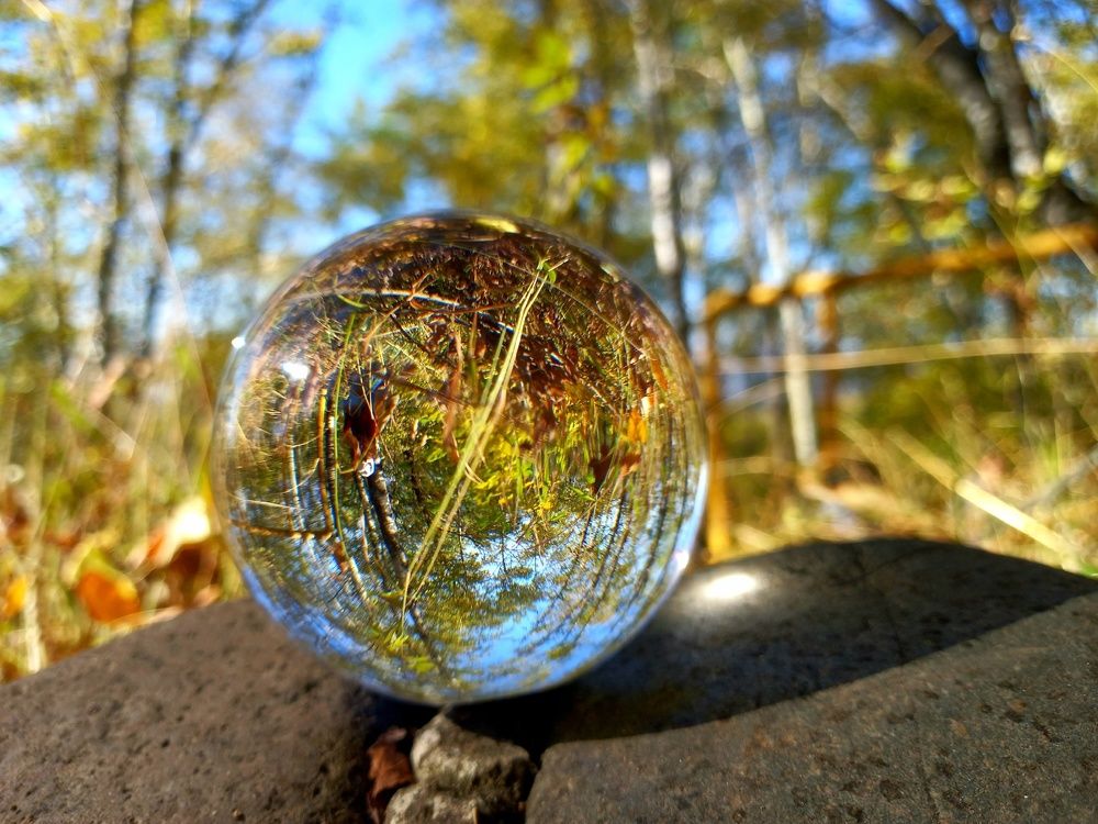 Photograph by Ольга Шевцова