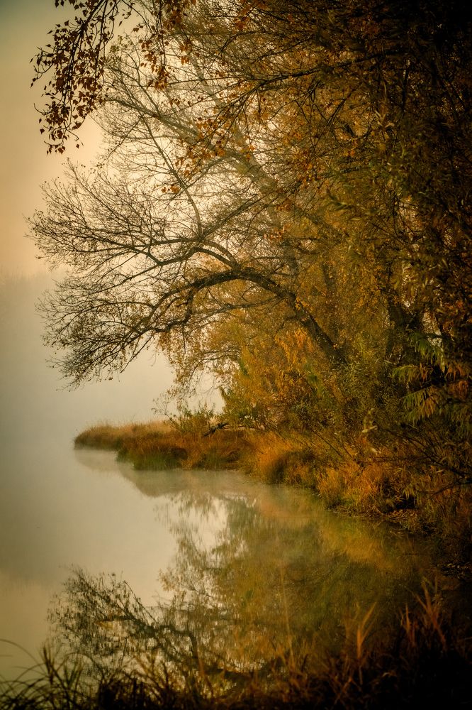 Photograph by Константин Белоногов