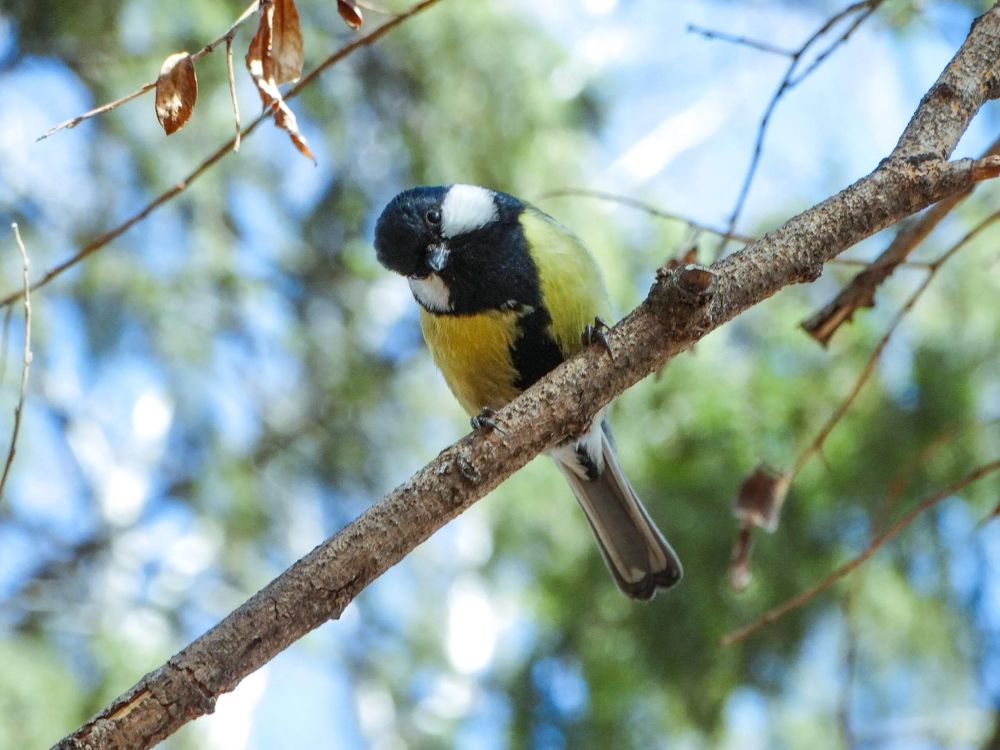 Photograph by Анжелика Трошина