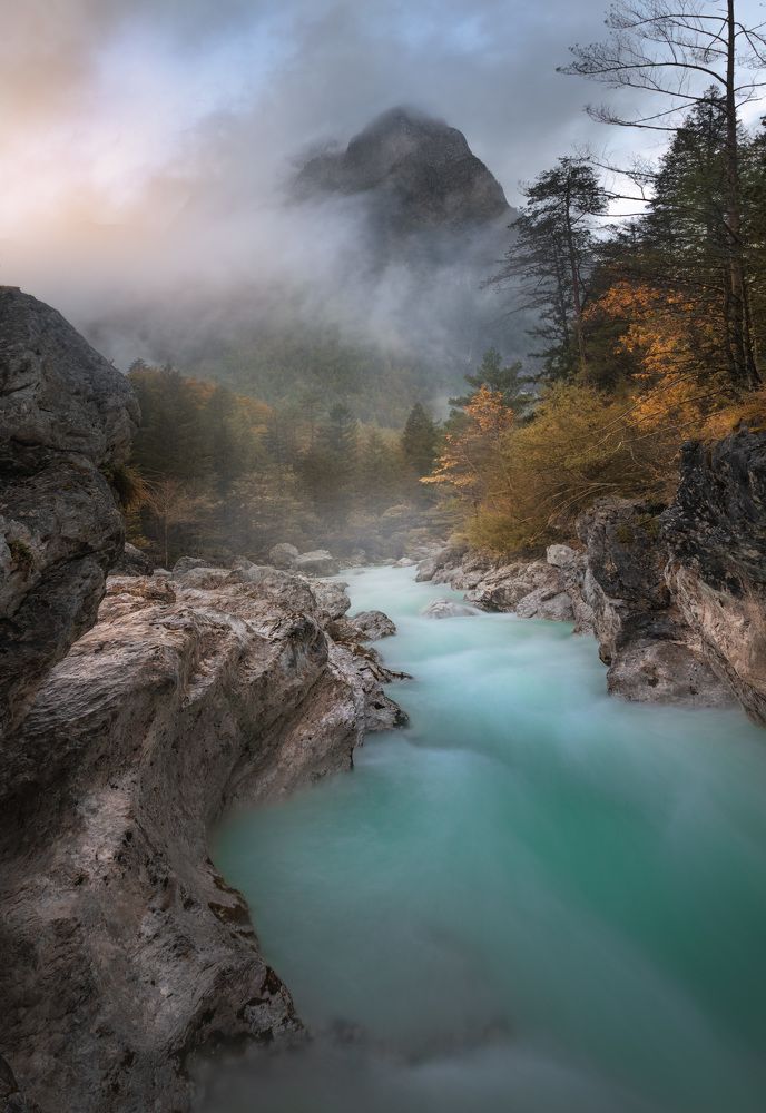 Photograph by Karádi Zita