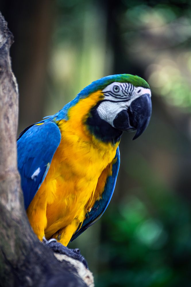 Photograph by Pratiwanjono Ambrosius