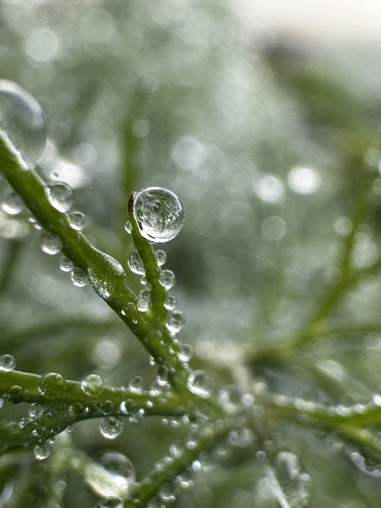 Photograph by Ольга Галкина