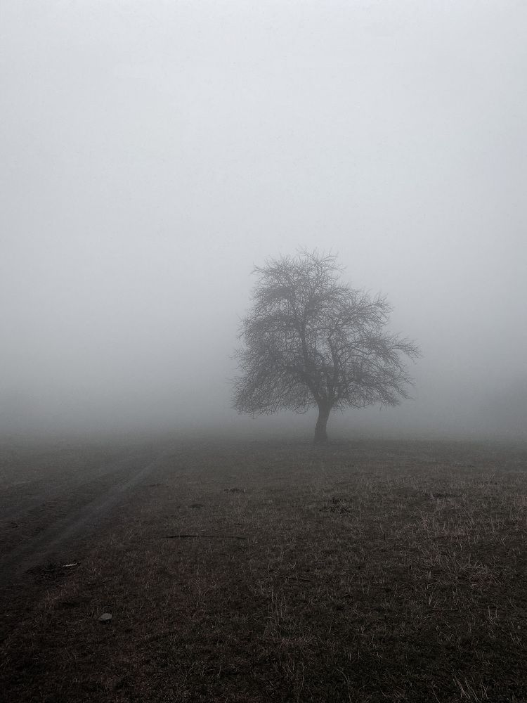 Photograph by Илья Горшенков