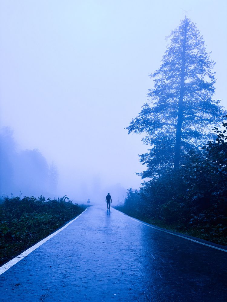 Photograph by Марина Губская