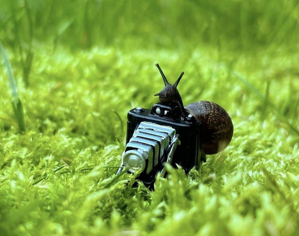 Photograph by Марина Губская