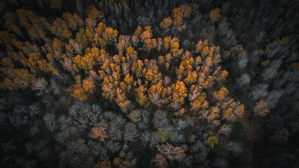 Photograph by Илья Горшенков