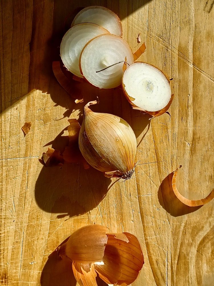 Photograph by Root Dariia