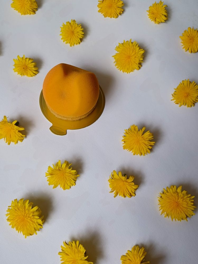 Photograph by Root Dariia