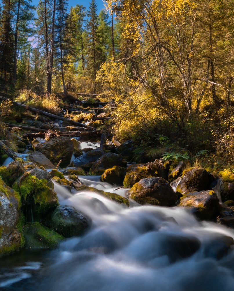 Фотография автора Evgeny Shlomov