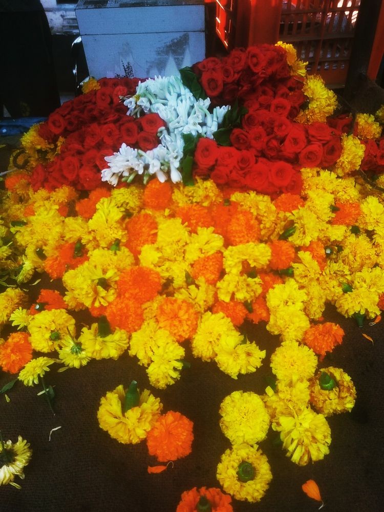 Photograph by B.Ramasubbaiah