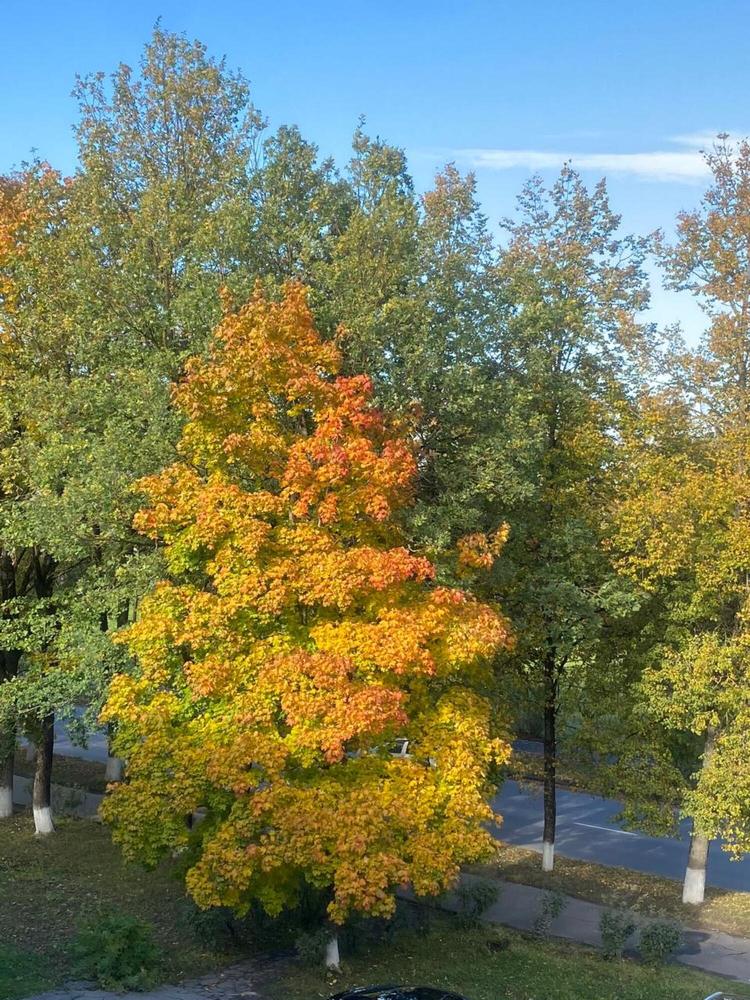 Photograph by Злата Иванченко