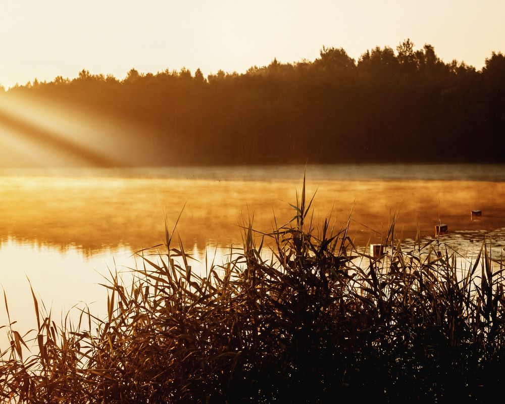 Photograph by Tatsiana Sialiuk