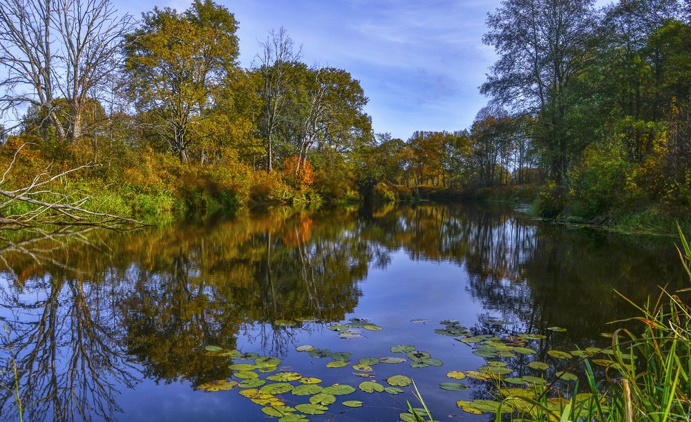 Photograph by Цветков Сергей