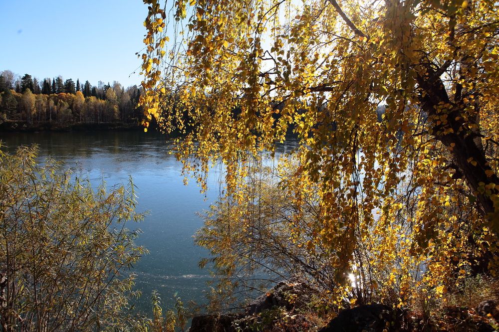 Photograph by Александр Полюдов