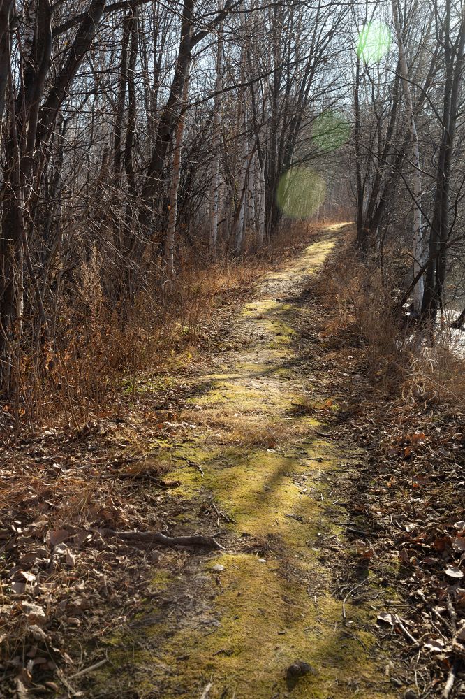 Photograph by Елена Диченко