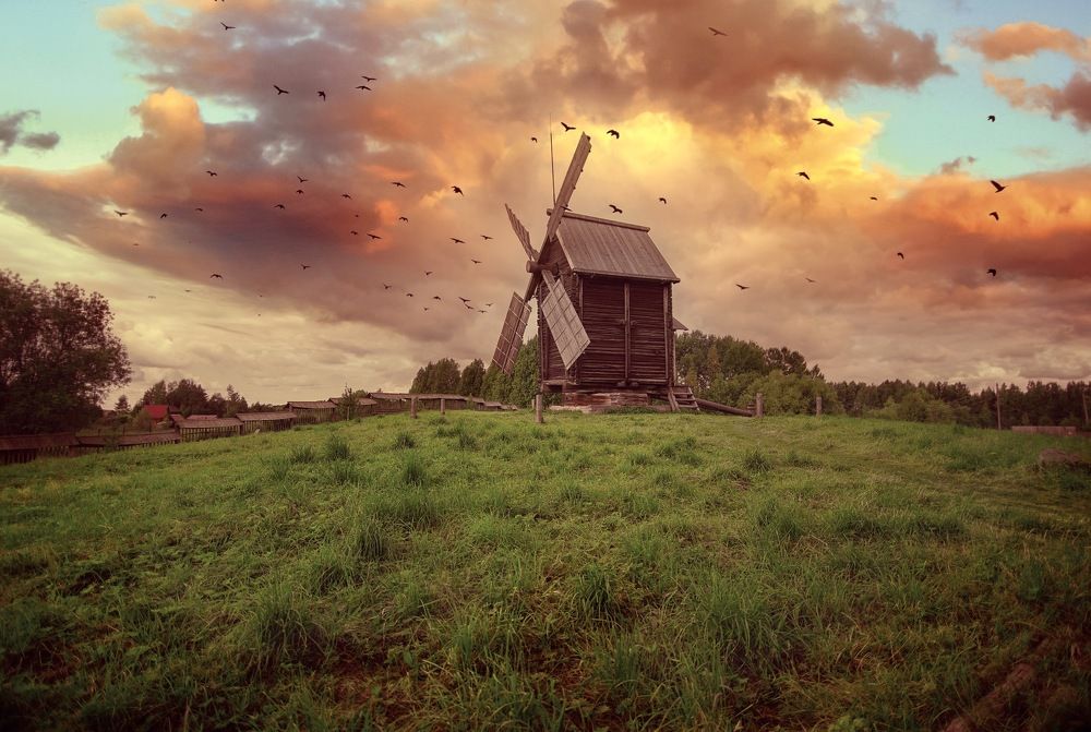 Photograph by Виктория Шаманова