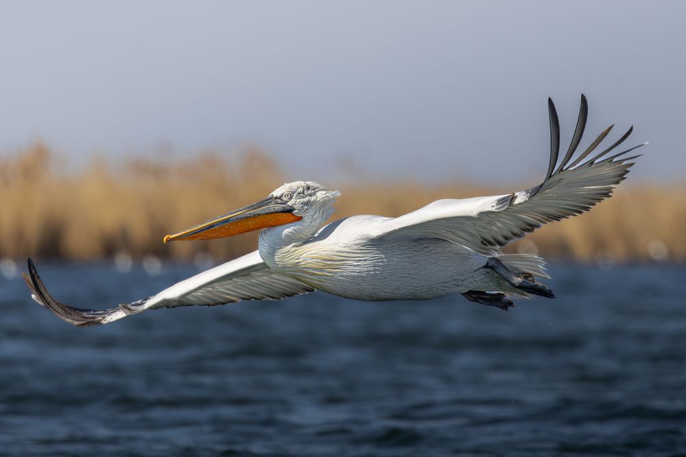 Photograph by Инна Баженова