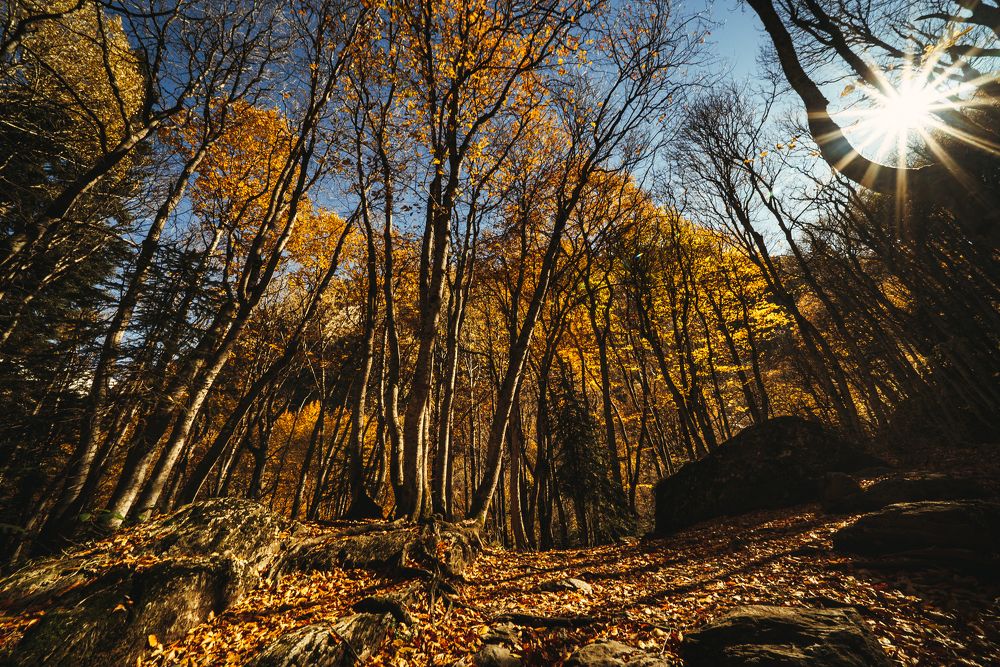 Photograph by Гаврилов Юрий