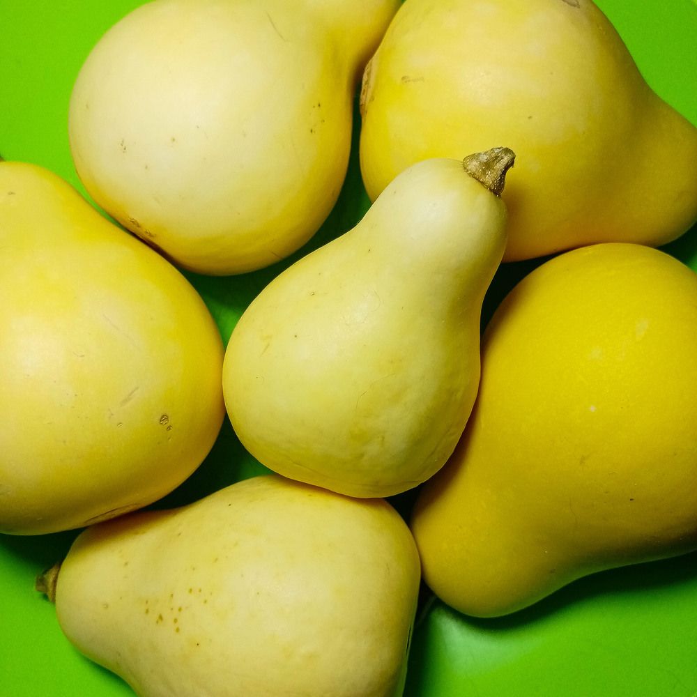 Photograph by Оксана Подъельская