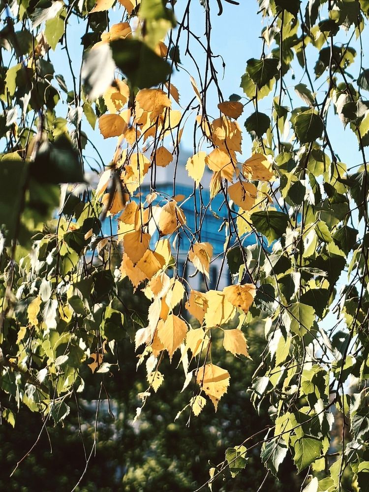 Photograph by Натали Захарова (Тай)