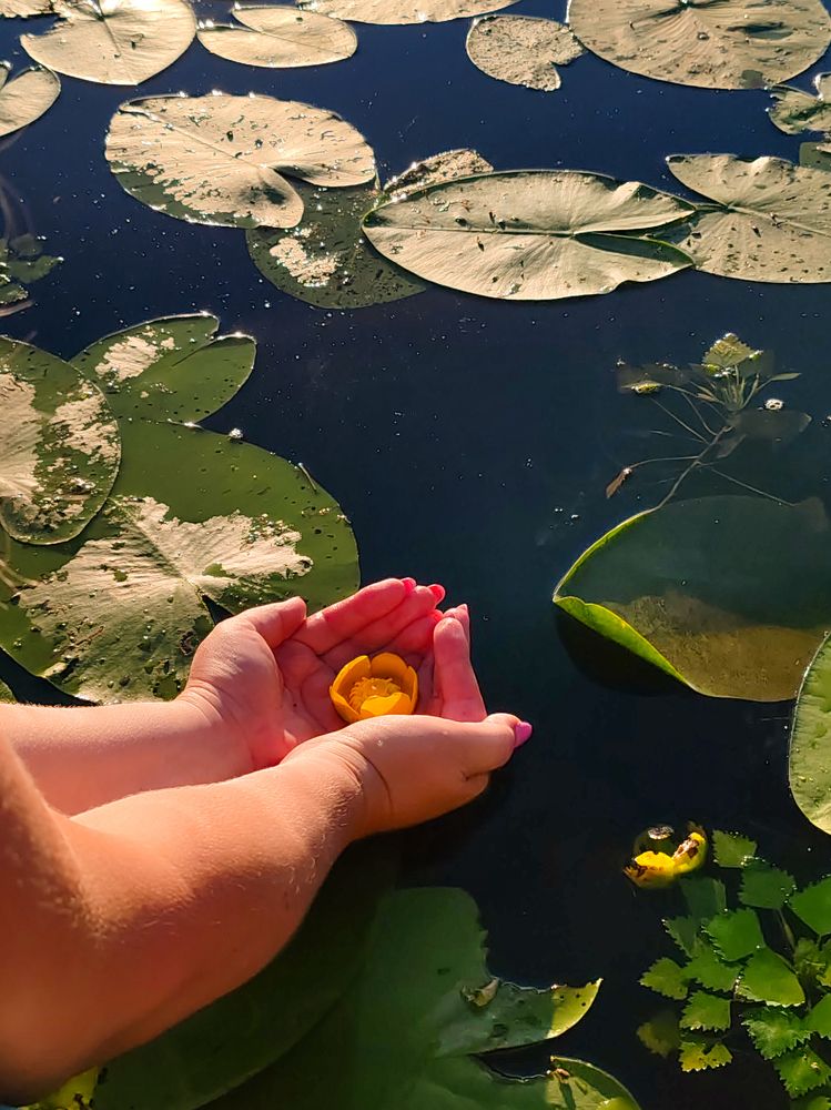 Фотография автора Любовь