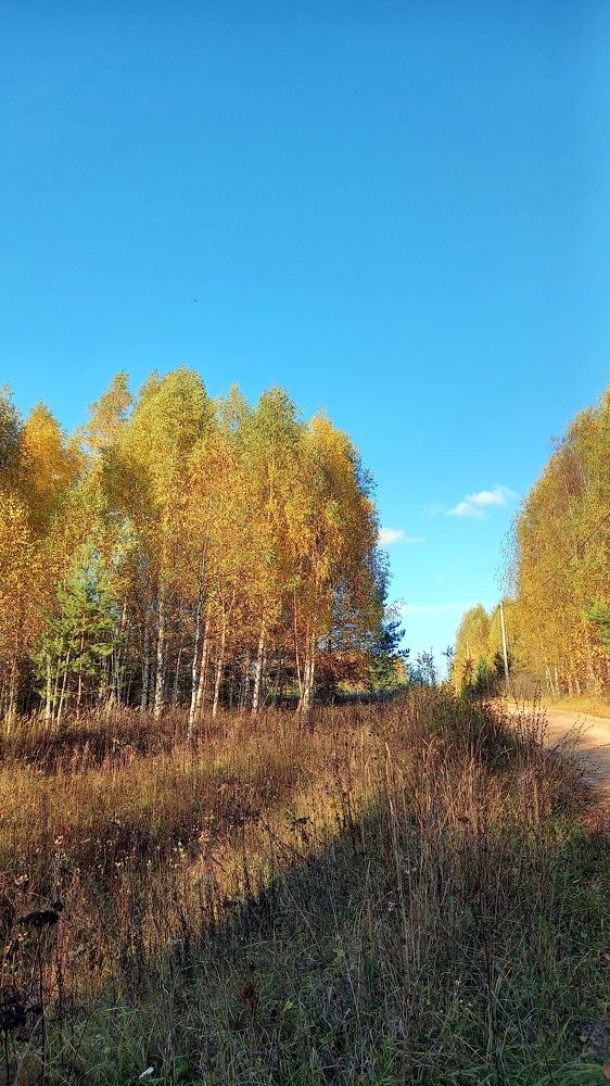 Photograph by Надежда Васильева