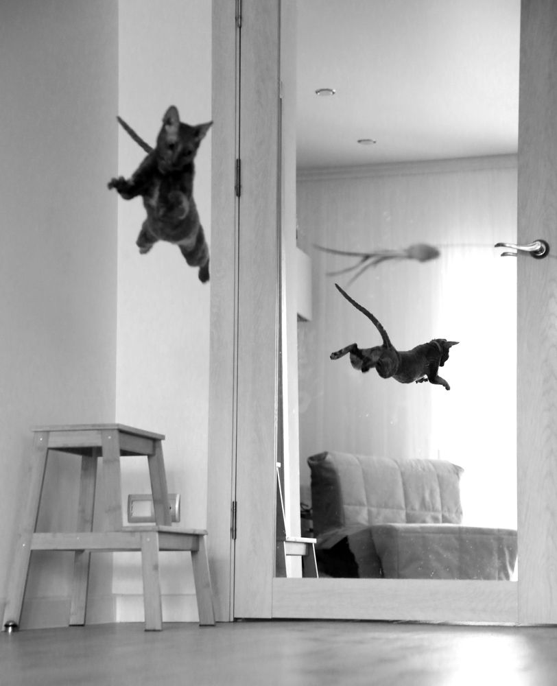 Photograph by Дарья Юсарева