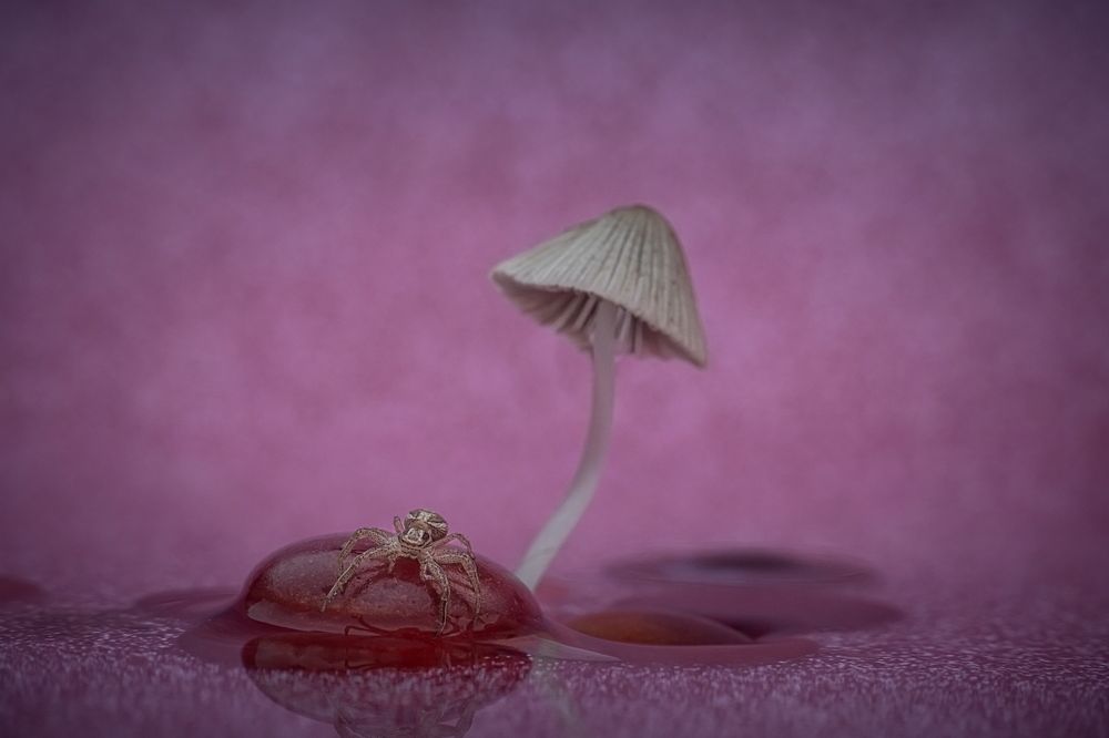 Photograph by Николай Фонарёв