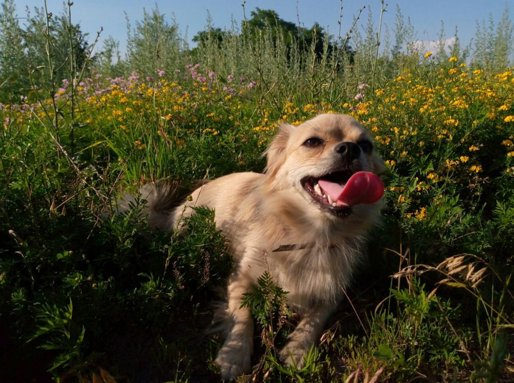 Photograph by Татьяна Шевченко