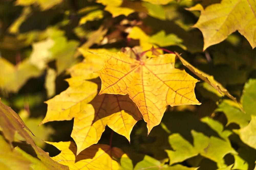 Photograph by Евгений Беленков