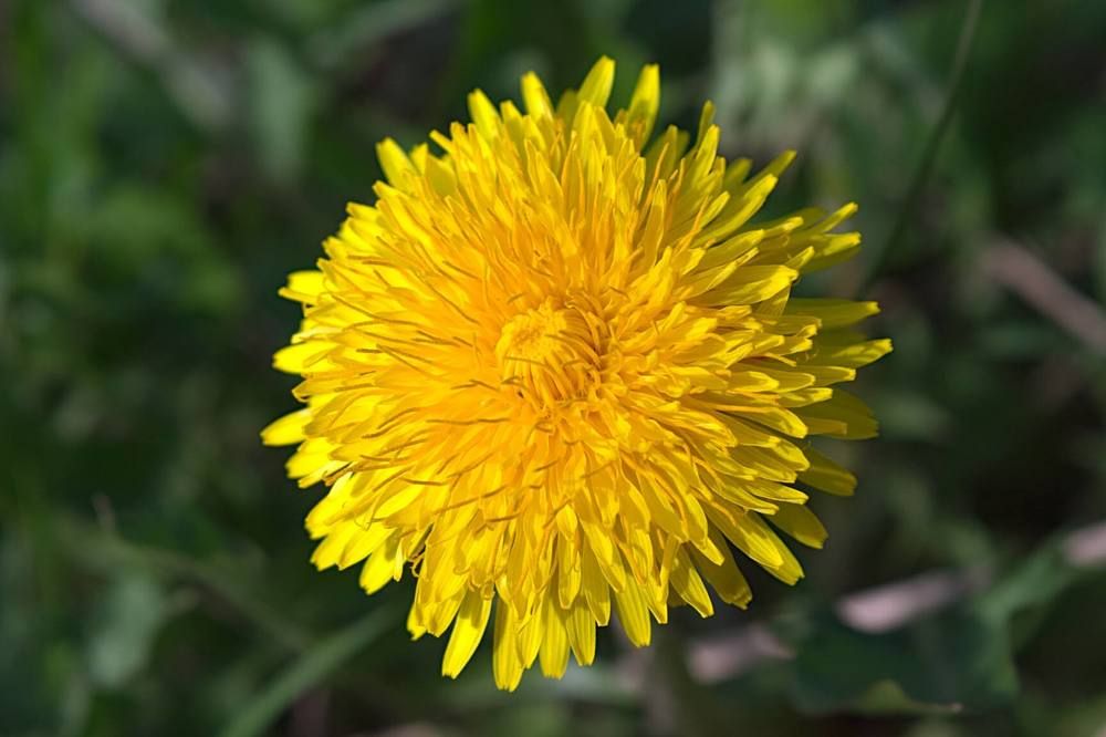 Photograph by Евгений Беленков