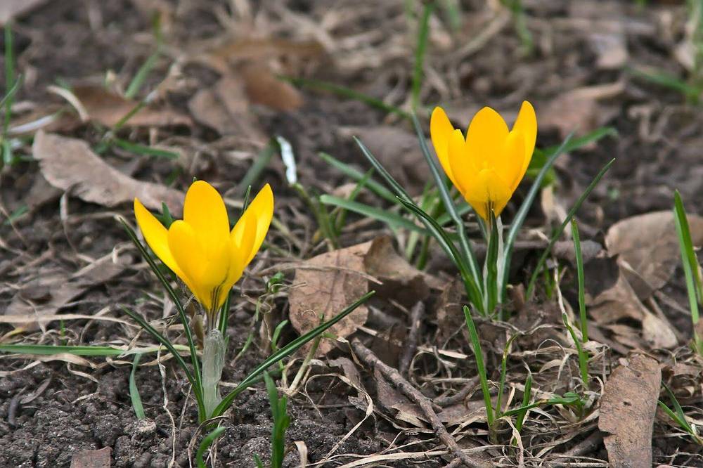 Photograph by Евгений Беленков