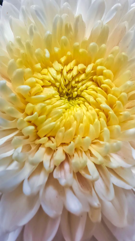 Photograph by Остапенко Алина