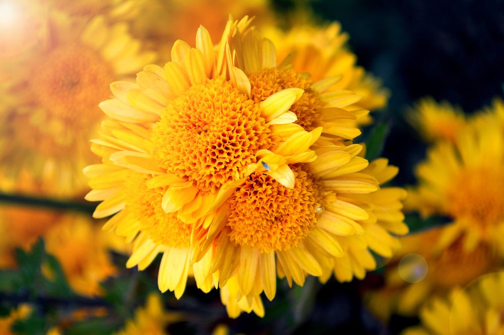 Photograph by Анна Котлярова