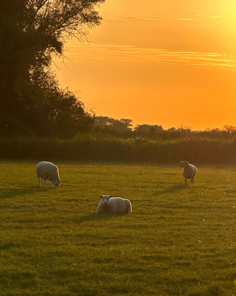 Фотография автора Julia
