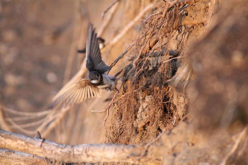 Photograph by Мария