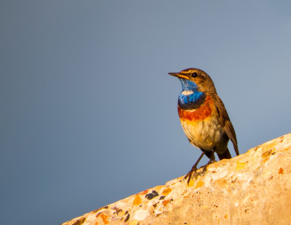 Photograph by Цветков Сергей