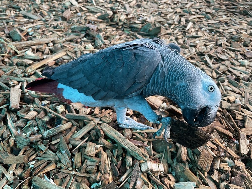 Photograph by Юлия Лебедева