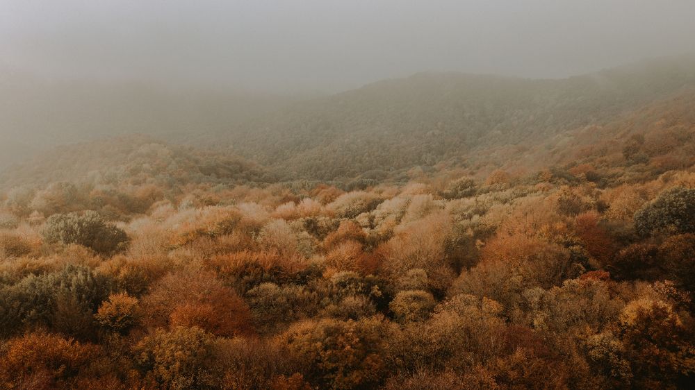 Photograph by Юрий Гаврилов