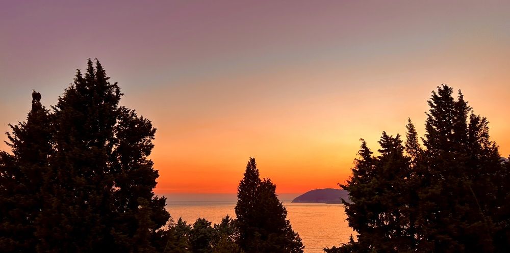 Photograph by Ксения Гулькова