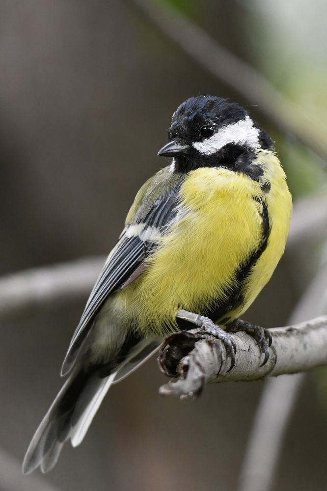 Photograph by Елена Гасенко